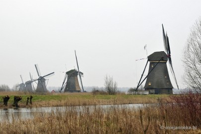 _DSC8925 Kinderdijk