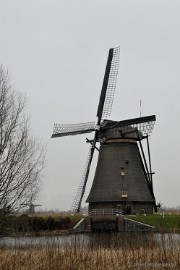 _DSC8927 Kinderdijk
