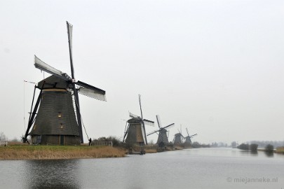 _DSC8950 Kinderdijk