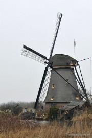 _DSC9005 Kinderdijk