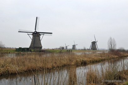 _DSC9011 Kinderdijk