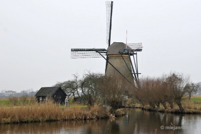 _DSC9013 Kinderdijk
