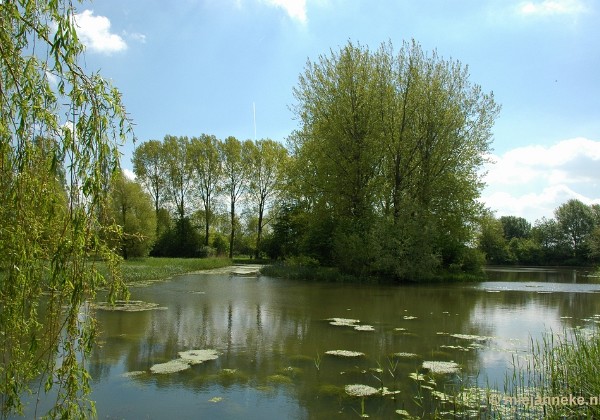 Landschap en Natuur 2012