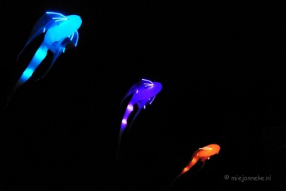 glow2013 30 Glow Eindhoven 2013