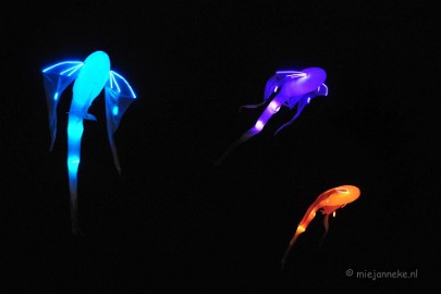 glow2013 31 Glow Eindhoven 2013