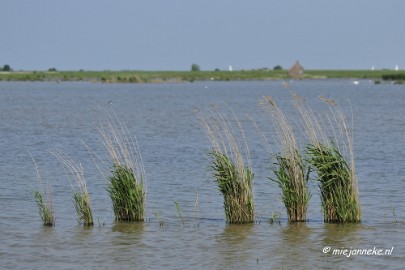 _DSC3759 Tiengemeten