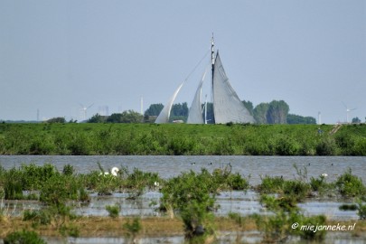 _DSC3816 Tiengemeten