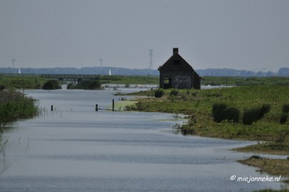 _DSC3956 Tiengemeten