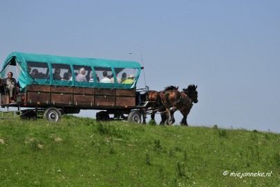 _DSC3975 Tiengemeten