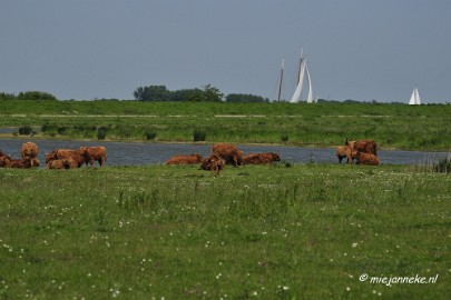 _DSC4160 Tiengemeten