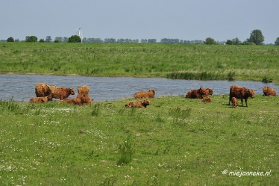 _DSC4176 Tiengemeten