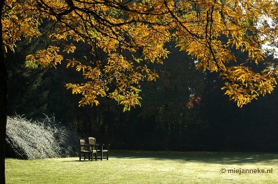 DSC_1251 44/52 Emptiness, In autumn all the parks will have less visitors and many places will show a great emptiness. Emptiness is what we see on the inviting benches...