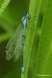 _DSC4985 Vroeg in de morgen