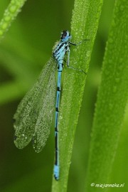 _DSC4985 Vroeg in de morgen