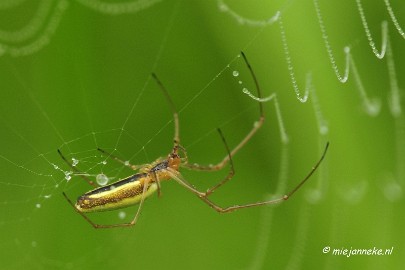 _DSC4988 Vroeg in de morgen