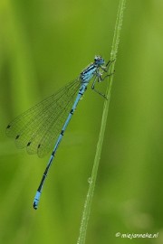 _DSC5036 Vroeg in de morgen