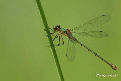 _DSC5068 Vroeg in de morgen