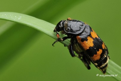 _DSC5090 Vroeg in de morgen