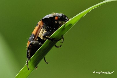 _DSC5111 Vroeg in de morgen