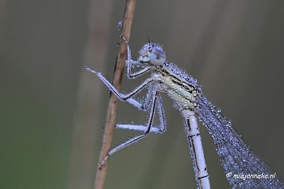 _DSC5569 Rondje Brabant