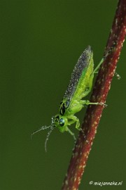 _DSC5626 Rondje Brabant