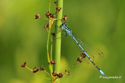 _DSC5785 Rondje Brabant