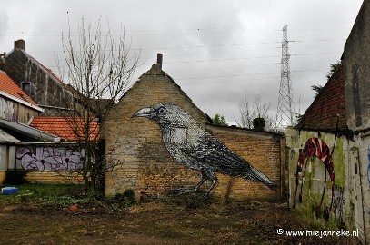 _DSC5977 Het verlaten dorp Doel