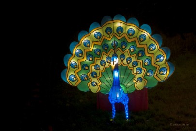 DSC_8101 China Light Festival Utrecht