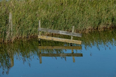 texel dag 1 2016_08 Texel dag 1