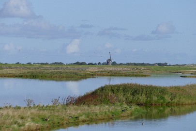 texel dag 1 2016_09 Texel dag 1