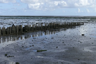 texel dag 1 2016_16 Texel dag 1