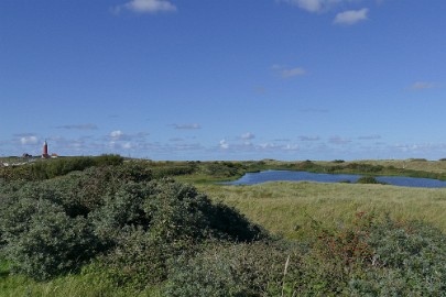 texel dag 1 2016_21 Texel dag 1