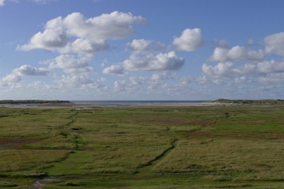 texel dag 1 2016_28 Texel dag 1