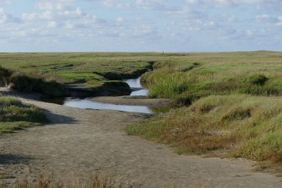 texel dag 1 2016_29 Texel dag 1