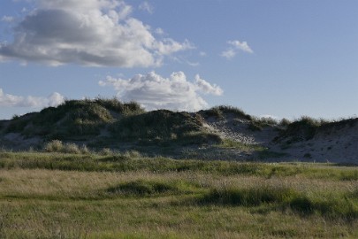 texel dag 1 2016_30 Texel dag 1