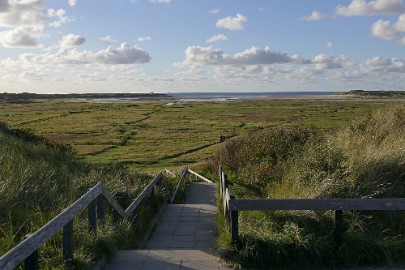 texel dag 1 2016_34 Texel dag 1