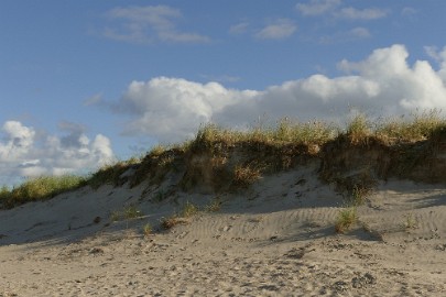 texel dag 2 2016_02 Texel dag 2