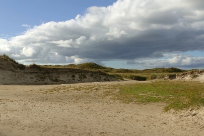 texel dag 2 2016_05 Texel dag 2