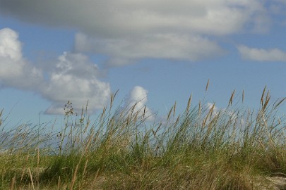 texel dag 2 2016_06 Texel dag 2