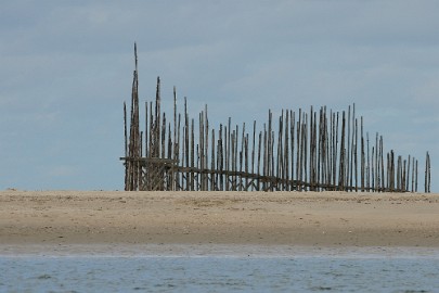 texel dag 2 2016_19 Texel dag 2