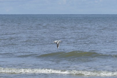 P1060247 Texel dag 3