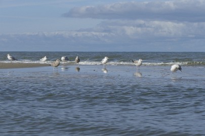 P1060270 Texel dag 3