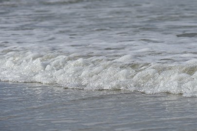 P1060334 Texel dag 3