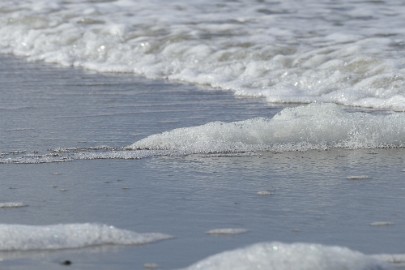 P1060344 Texel dag 3