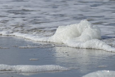 P1060348 Texel dag 3