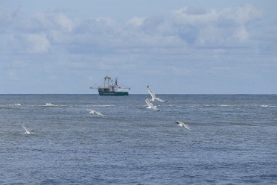 P1060377 Texel dag 3