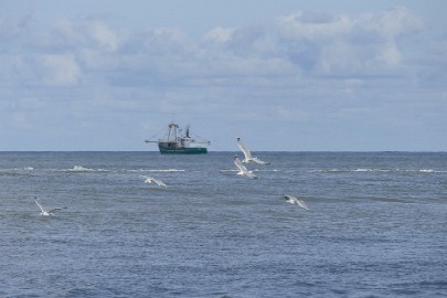 P1060377 Texel dag 3