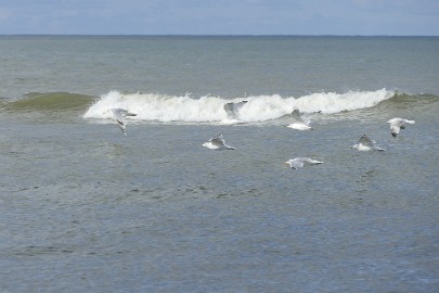 P1060393 Texel dag 3