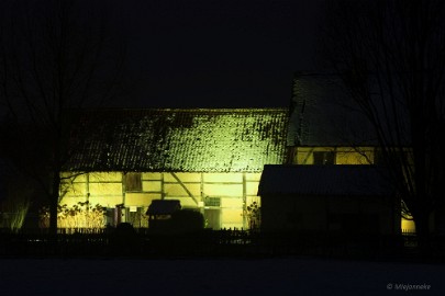 Bokrijk by Night 07 Bokrijk by Night 2015