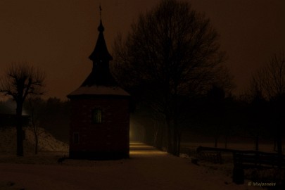 Bokrijk by Night 17 Bokrijk by Night 2015